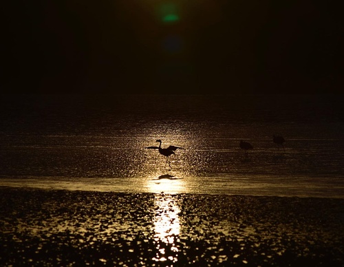Gallery Of Photography By Sebastian Suki Belaustegui - Brazil
