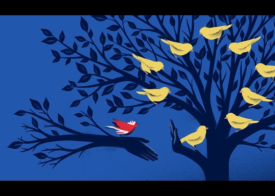Gallery Of Illustration By Sebastien Thibault  - Canada