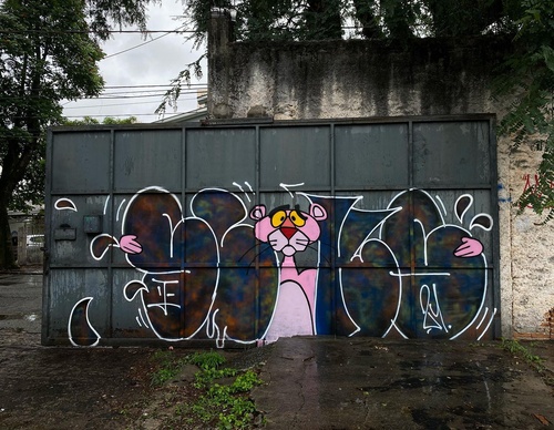 Gallery Of Street Art By Rafael Sliks - Brazil