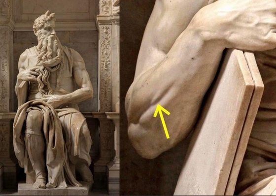 A excepcional atenção de Michelangelo à precisão anatômica e ao domínio artístico