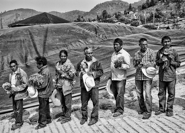 Gallery of Photography by César Rodríguez – Mexico