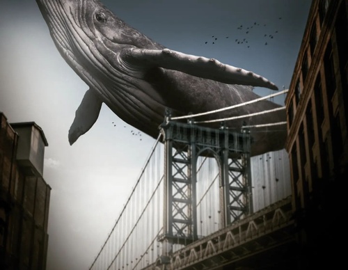 Galería De Ilustración De Gastón - Argentina
