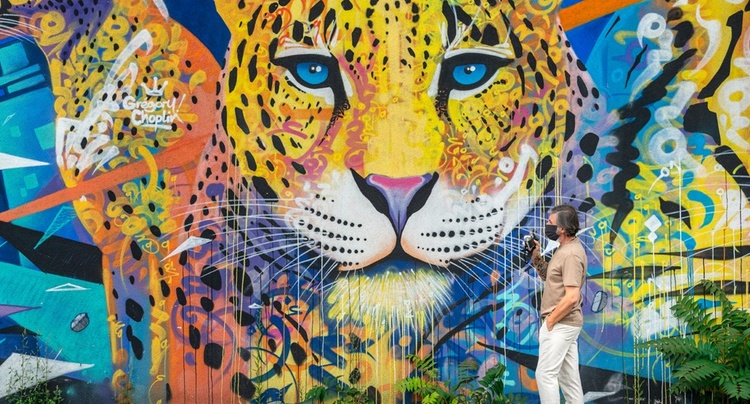 Ejemplos de arte callejero – arte urbano