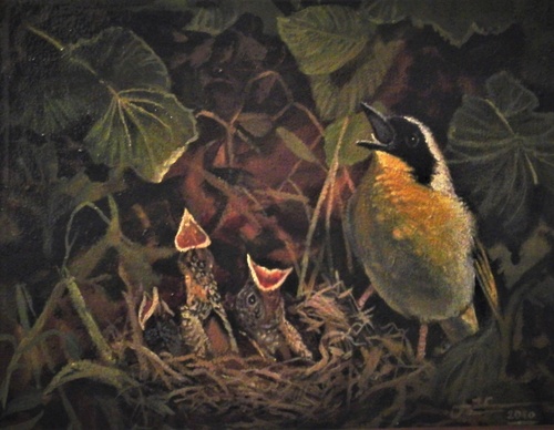 jorge castrillon