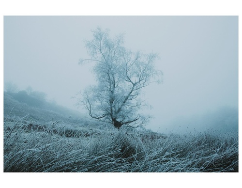 Gallery Of Photography By Daniel Casson - England