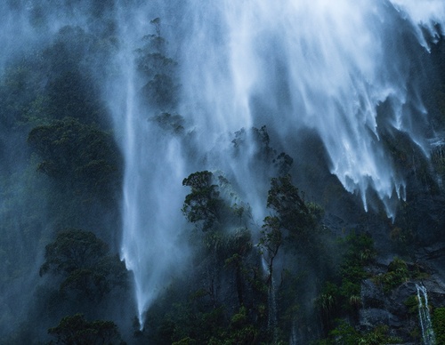 Galeria de fotografias de William Patino - Nova Zelândia