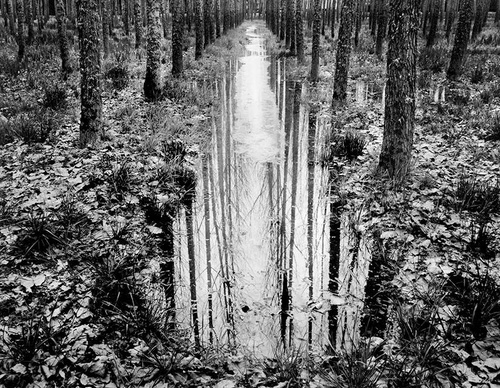 Gallery Of Photography By Diego Ortiz Mugica - Argentina