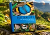 BUTTERFLIES OF SOUTH AFRICA: A FIELD GUIDE