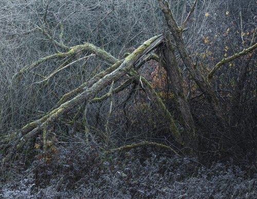 Galería de fotografías de Pujan Shadlau - Austria