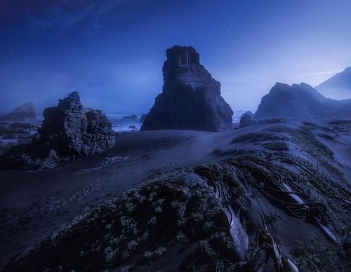Gallery Of Photography By Rodrigo Viveros - Chile