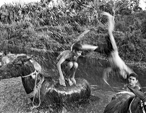 raul canibano