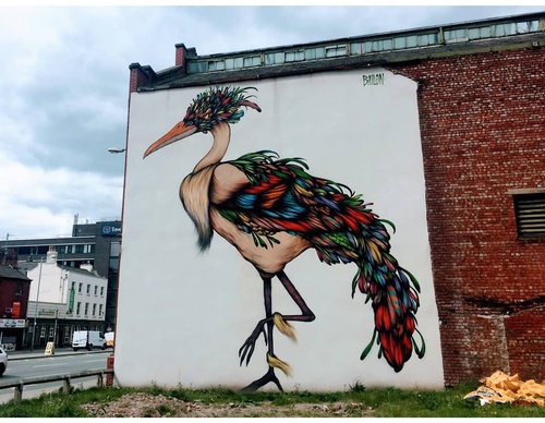 Gallery Of Street Art By Bailon - Brazil