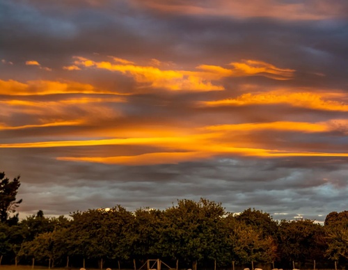 Gallery Of Photography By Homayra Oyarce G - Chile