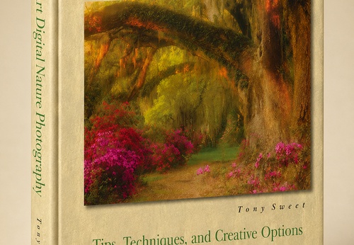 Fine Art Digital Nature Photography by Tony Sweet
