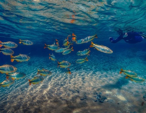 Galería de fotografía de Marcio Cabral - Brasil