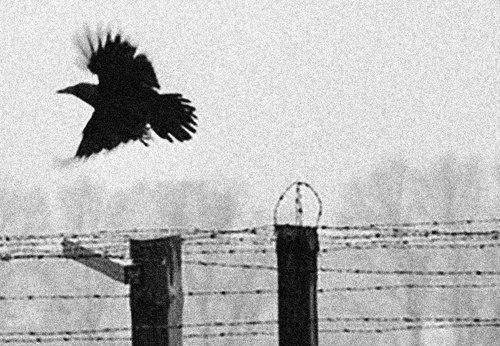 Gallery of Photography by Erich Hartmann – Germany