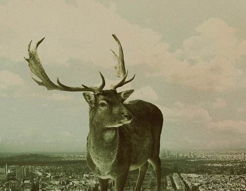 Gallery Of Illustration By Antonio Rodrigues - Brazil