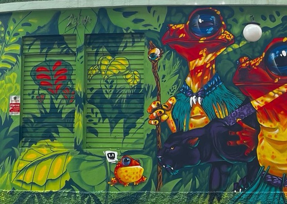 Gallery Of Street Art By Bigod O Sapo - Brazil