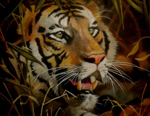 jorge castrillon