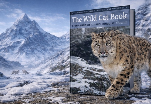 The Wild Cat Book | With Photographs by Terry Wittaker