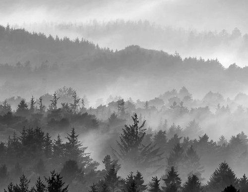 Gallery Of Photography By Mads Peter - Danish
