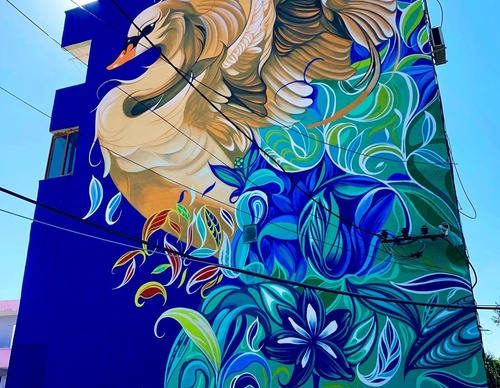 Gallery Of Street Art By Fio Silva - Argentina