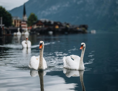 Gallery Of Photography By Ronald Söthje - Germany
