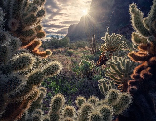 Gallery Of Photography By Max Rive - Netherlands