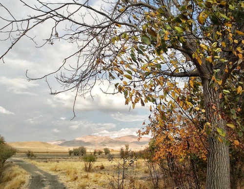 Gallery Of Photography By Mojtaba Nazari - Iran