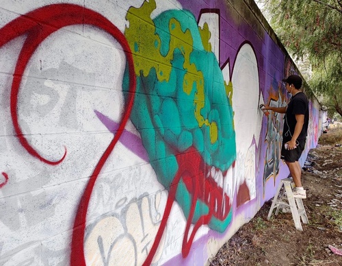 Gallery Of Street Art By Elchicho - Mexico