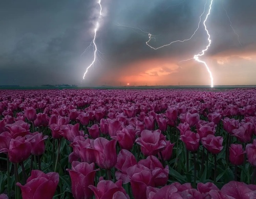 Galería de fotografía de Gijs de Reijke - Holanda