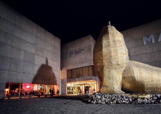 The MAR Museum celebrates ten years of free and diverse art for everyone