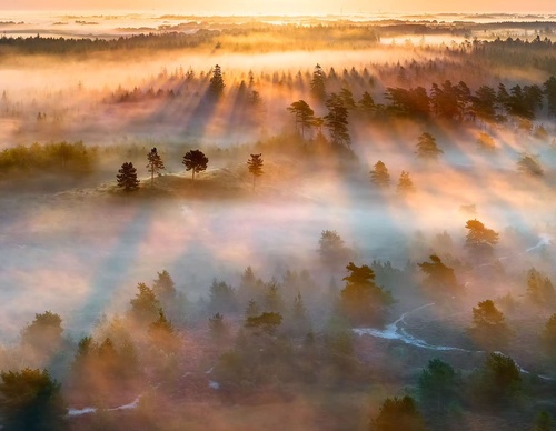 Gallery Of Photography By Mads Peter - Danish