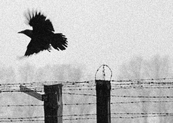 Gallery of Photography by Erich Hartmann – Germany