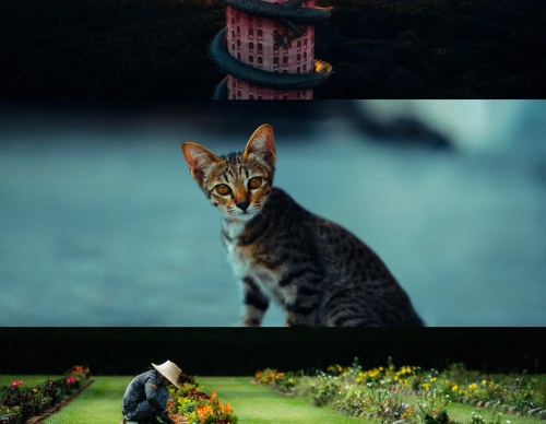 Gallery Of Photography By Luke - United Kingdom