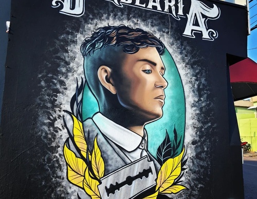 Gallery Of Street Art By Diego Forms - Brazil