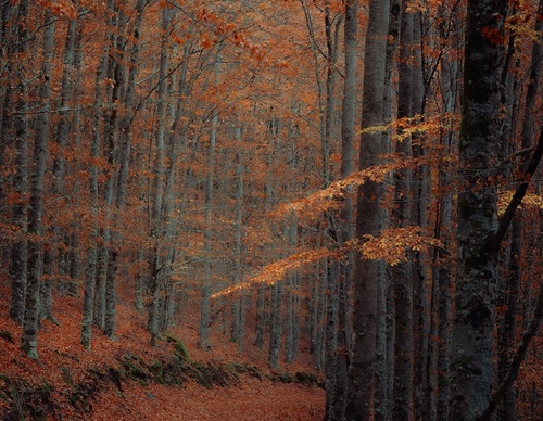 Galería de fotografía de Jorge Reinaldo - Portugal