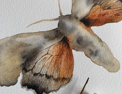 Gallery Of Painting By Rita Gould - United Kingdom