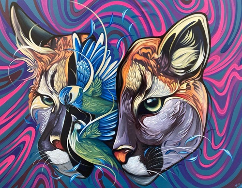 Gallery Of Street Art By Fio Silva - Argentina