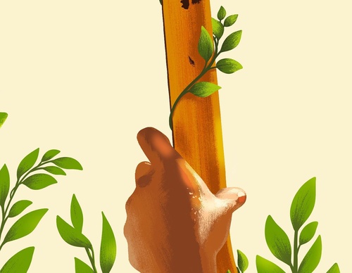 Galeria de ilustrações de Matthew Fleming - EUA