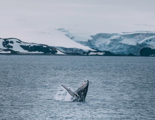 Gallery Of Photography By Rocio Del Valle - Chile