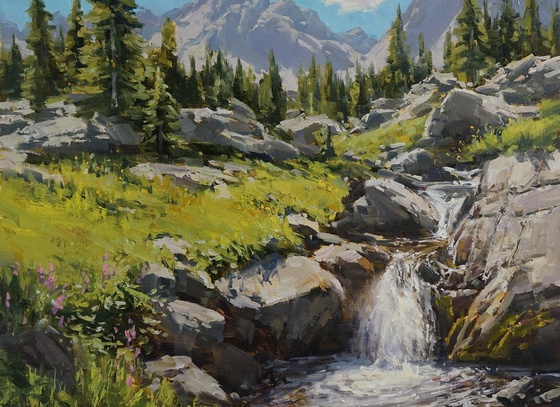 Aaron Schuerr