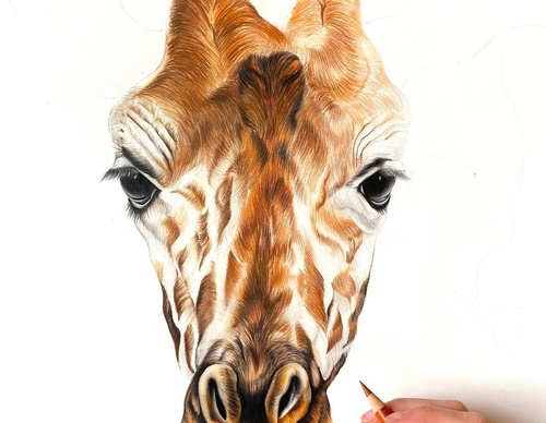 Gallery Of Realistic Painting By Rebecca Neundorf - Germany