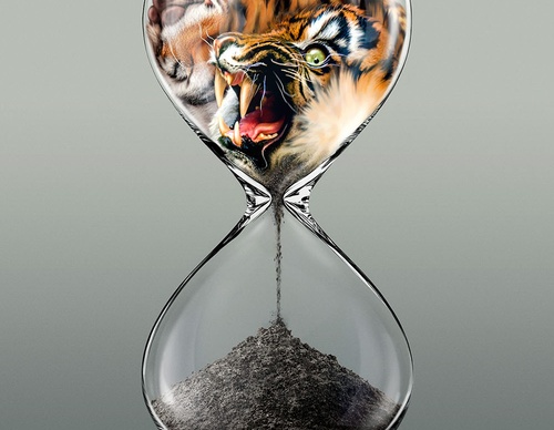 Galeria de pôsteres selecionados dos Prêmios Graphis Poster 2027
