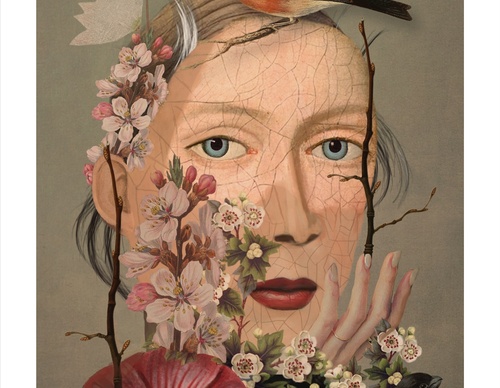 Galeria de ilustrações de Sarah Jarrett - Jamaica