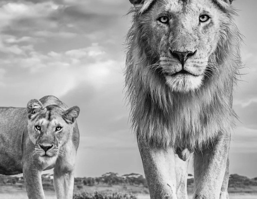 Galeria de fotografias de James Lewin-UK