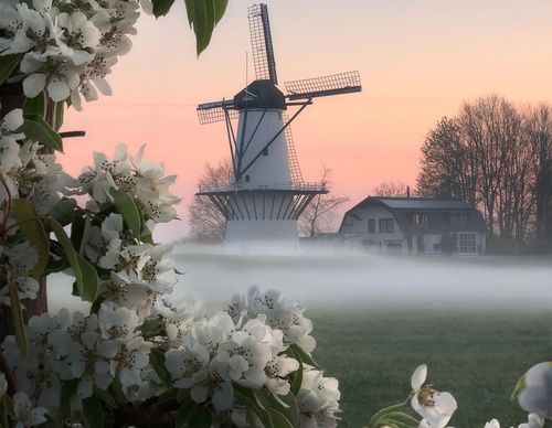 Galería de fotografía de Gijs de Reijke - Holanda