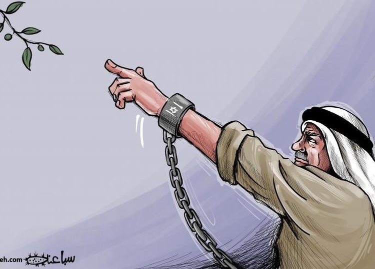 The Palestinian olives tree
