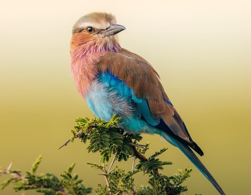 Gallery Of Photography By Emmett Sparling - Canada