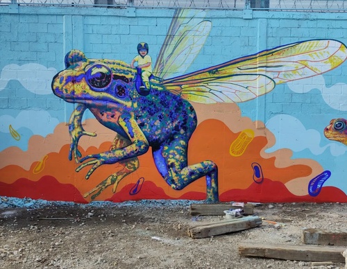 Galería de arte callejero de Nashi Bime - México